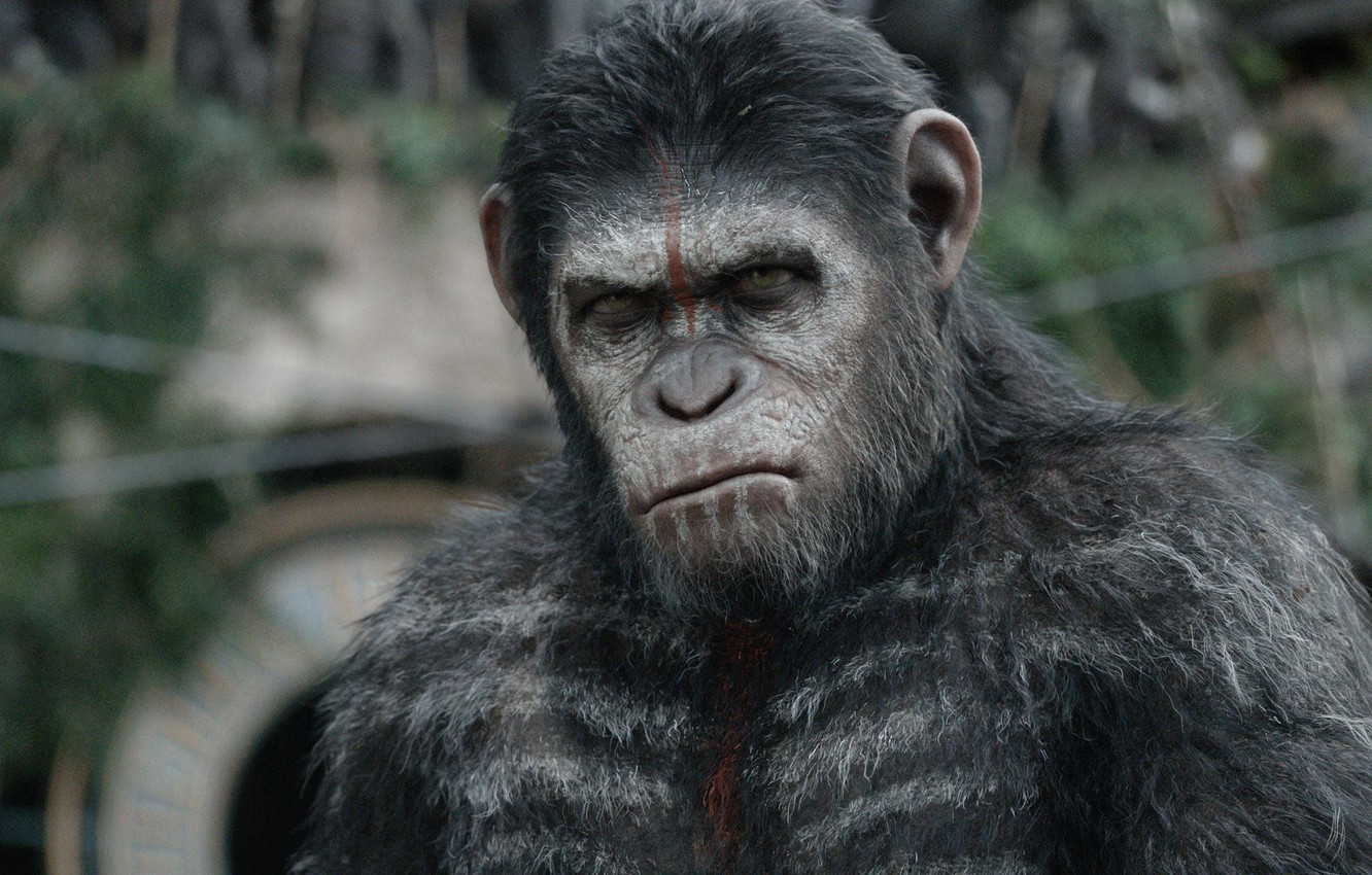 Фильмы про обезьян смотреть онлайн на HDFilm1080