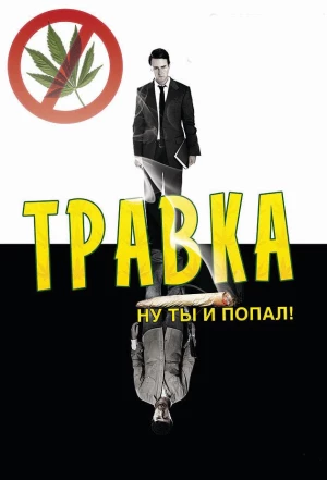 Травка 2009