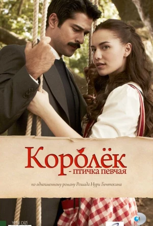 Королёк - птичка певчая 2013