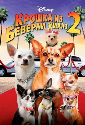 Крошка из Беверли-Хиллз 2 2010